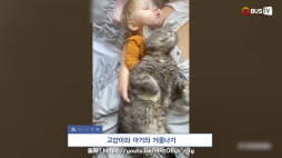 요즘이슈_02_고양이와 아기의 겨울나기